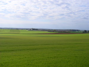 Paysage - Rians