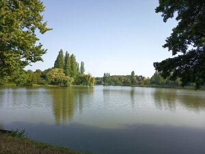 Vue Etang 20252
